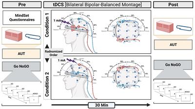 Individual differences and creative ideation: neuromodulatory signatures of mindset and response inhibition